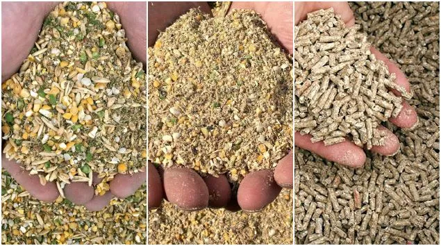 Animal Feed and Agricultural Inputs