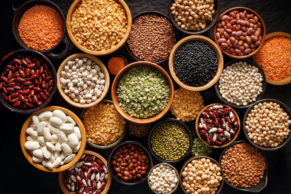 Grains, Pulses, and Seeds
